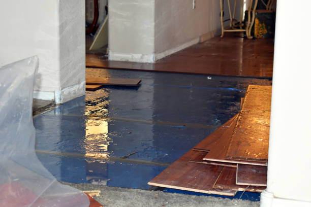 Professional Flood Damage Restoration technician working in Forest Lake, MN